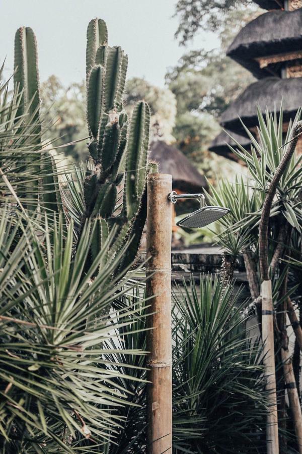 The Seseh House Vila Canggu Exterior foto